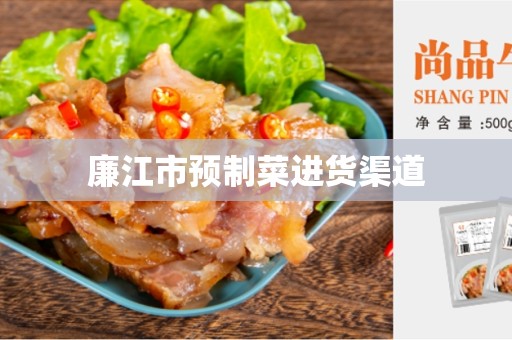 廉江市预制菜进货渠道