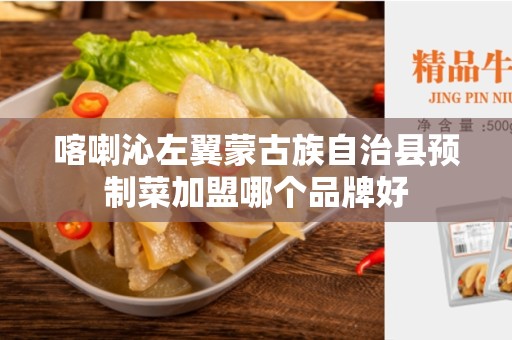 喀喇沁左翼蒙古族自治县预制菜加盟哪个品牌好