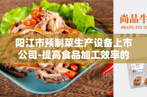 阳江市预制菜生产设备上市公司-提高食品加工效率的利器