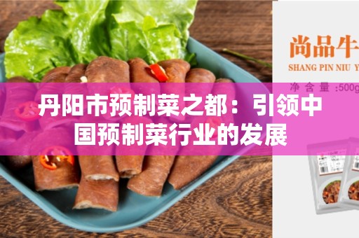 丹阳市预制菜之都：引领中国预制菜行业的发展