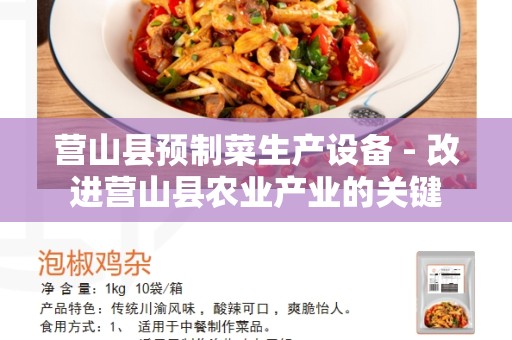 营山县预制菜生产设备 - 改进营山县农业产业的关键
