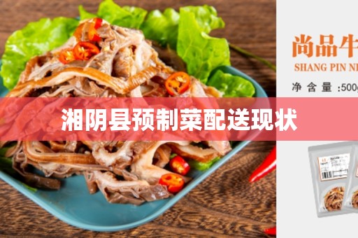 湘阴县预制菜配送现状