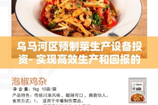 乌马河区预制菜生产设备投资- 实现高效生产和回报的首选