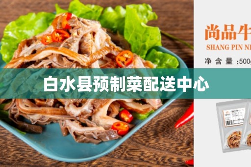 白水县预制菜配送中心