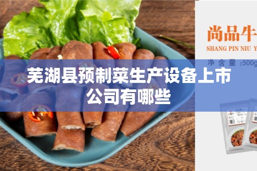 芜湖县预制菜生产设备上市公司有哪些