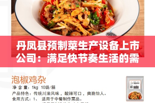 丹凤县预制菜生产设备上市公司：满足快节奏生活的需求
