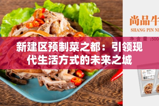 新建区预制菜之都：引领现代生活方式的未来之城