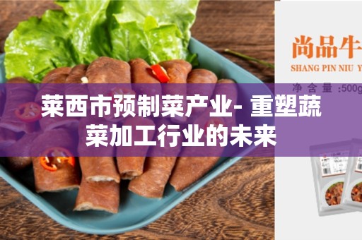 莱西市预制菜产业- 重塑蔬菜加工行业的未来