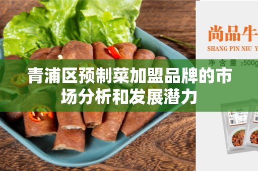 青浦区预制菜加盟品牌的市场分析和发展潜力