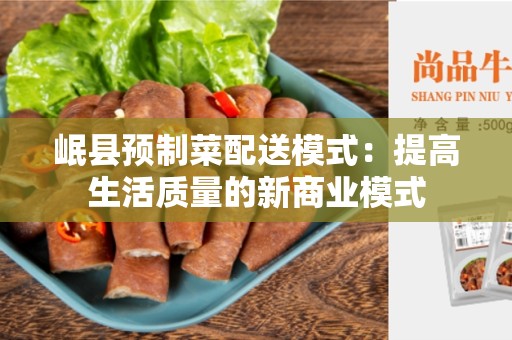 岷县预制菜配送模式：提高生活质量的新商业模式