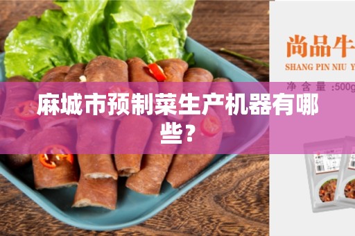 麻城市预制菜生产机器有哪些？