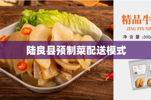 陆良县预制菜配送模式