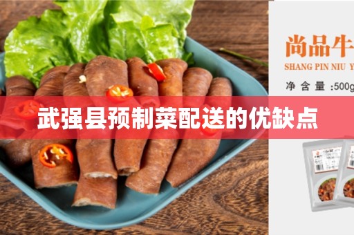 武强县预制菜配送的优缺点