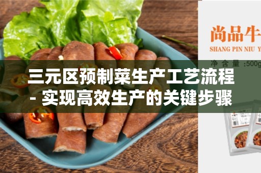 三元区预制菜生产工艺流程- 实现高效生产的关键步骤