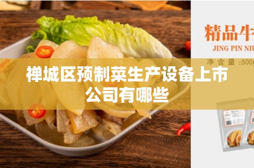 禅城区预制菜生产设备上市公司有哪些