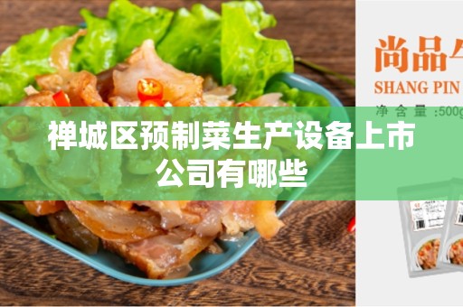 禅城区预制菜生产设备上市公司有哪些