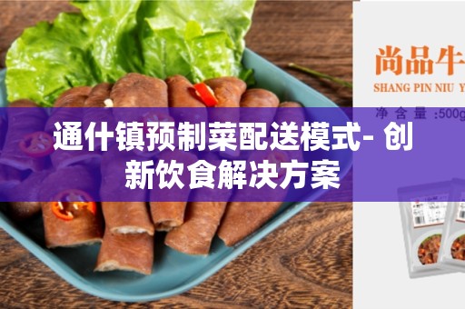 通什镇预制菜配送模式- 创新饮食解决方案