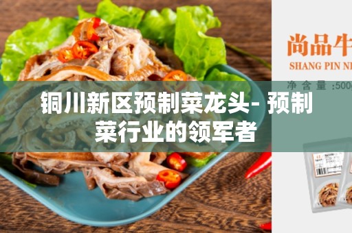 铜川新区预制菜龙头- 预制菜行业的领军者