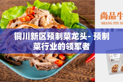 铜川新区预制菜龙头- 预制菜行业的领军者