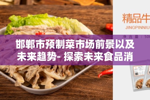 邯郸市预制菜市场前景以及未来趋势- 探索未来食品消费趋势