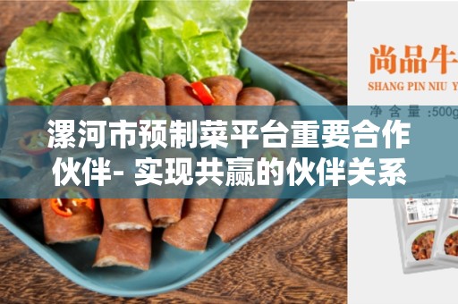 漯河市预制菜平台重要合作伙伴- 实现共赢的伙伴关系