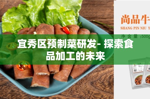 宜秀区预制菜研发- 探索食品加工的未来