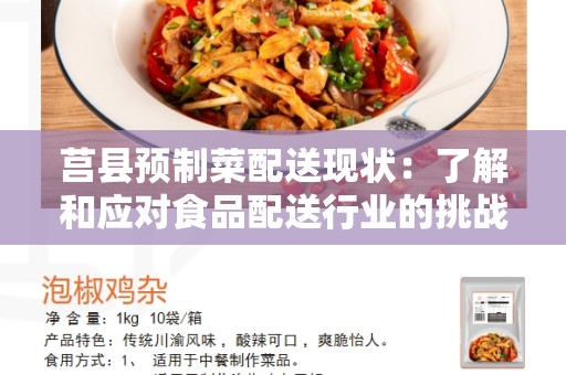 莒县预制菜配送现状：了解和应对食品配送行业的挑战