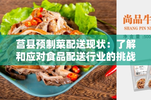 莒县预制菜配送现状：了解和应对食品配送行业的挑战