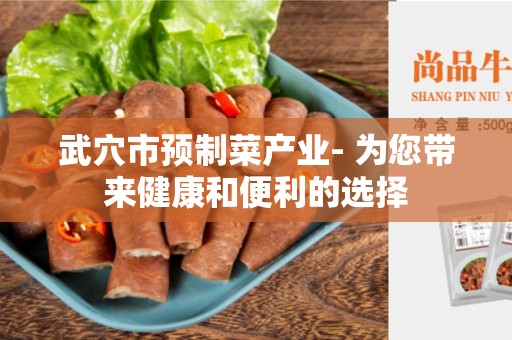 武穴市预制菜产业- 为您带来健康和便利的选择