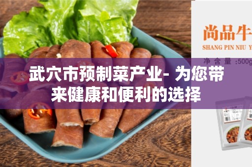 武穴市预制菜产业- 为您带来健康和便利的选择