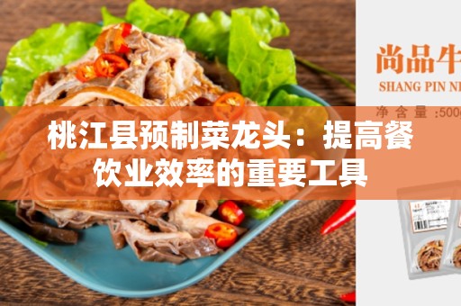 桃江县预制菜龙头：提高餐饮业效率的重要工具