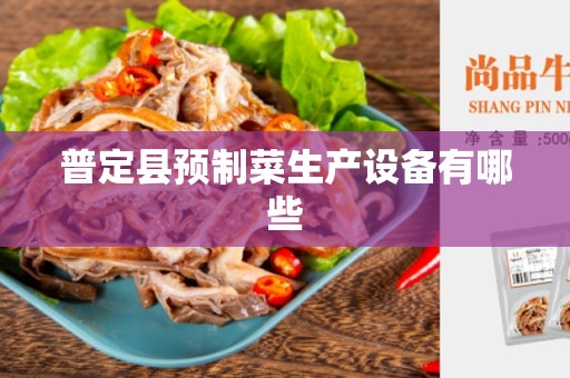 普定县预制菜生产设备有哪些