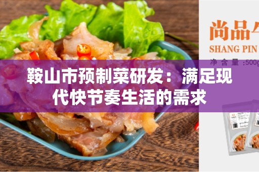 鞍山市预制菜研发：满足现代快节奏生活的需求
