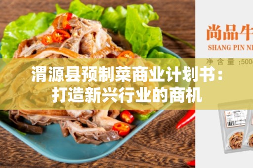 渭源县预制菜商业计划书：打造新兴行业的商机