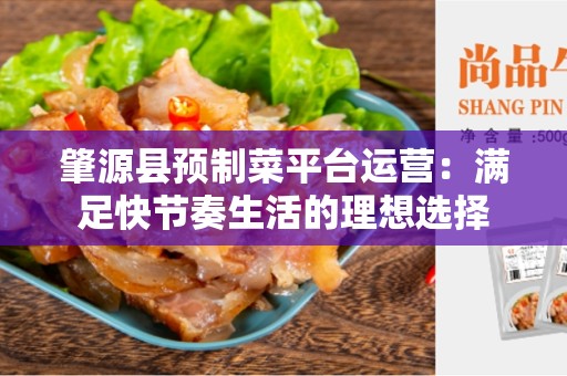 肇源县预制菜平台运营：满足快节奏生活的理想选择