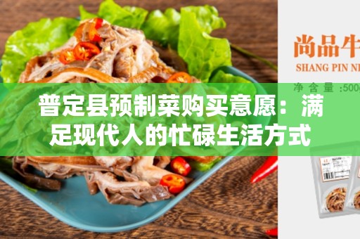 普定县预制菜购买意愿：满足现代人的忙碌生活方式