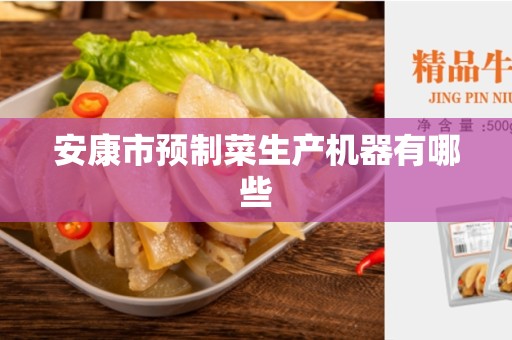 安康市预制菜生产机器有哪些