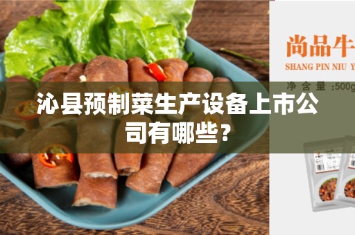 沁县预制菜生产设备上市公司有哪些？