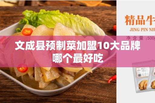 文成县预制菜加盟10大品牌哪个最好吃