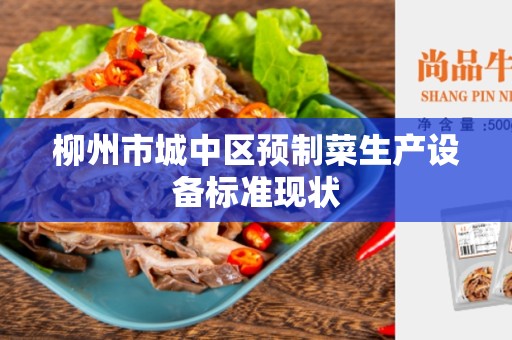 柳州市城中区预制菜生产设备标准现状