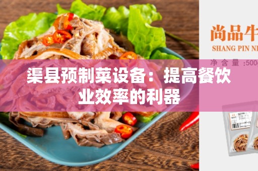 渠县预制菜设备：提高餐饮业效率的利器
