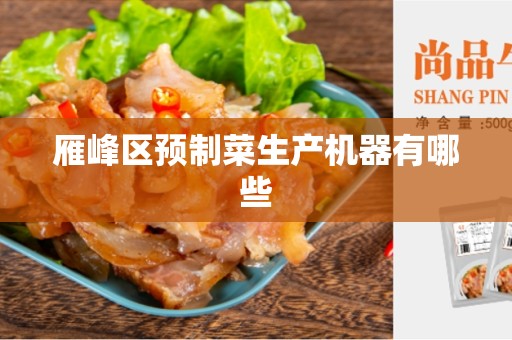 雁峰区预制菜生产机器有哪些