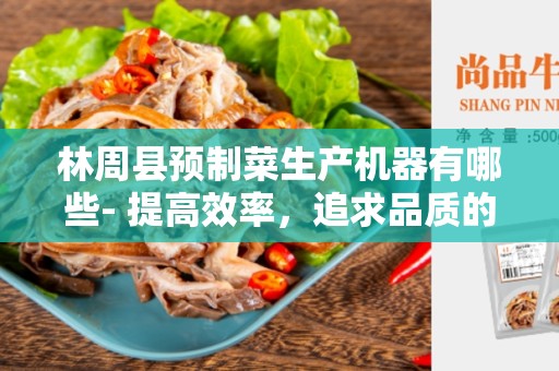 林周县预制菜生产机器有哪些- 提高效率，追求品质的关键工具