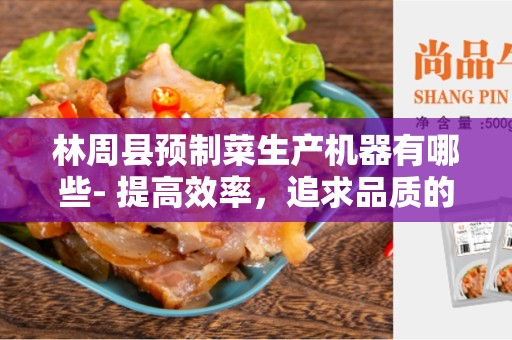 林周县预制菜生产机器有哪些- 提高效率，追求品质的关键工具