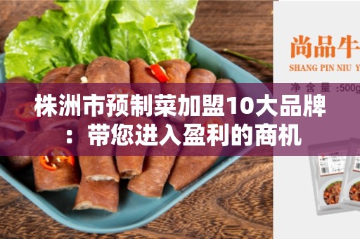 株洲市预制菜加盟10大品牌：带您进入盈利的商机