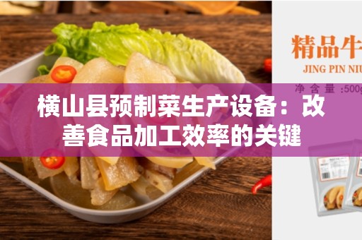 横山县预制菜生产设备：改善食品加工效率的关键