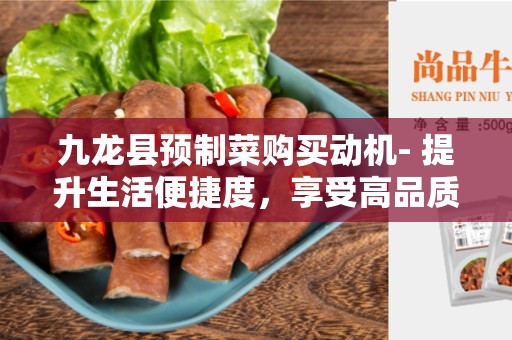 九龙县预制菜购买动机- 提升生活便捷度，享受高品质饮食