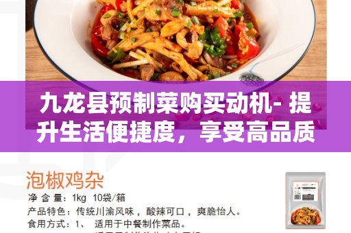 九龙县预制菜购买动机- 提升生活便捷度，享受高品质饮食