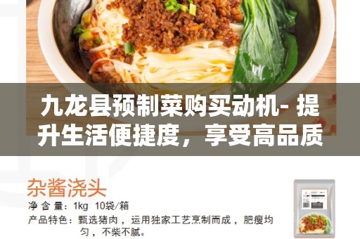 九龙县预制菜购买动机- 提升生活便捷度，享受高品质饮食