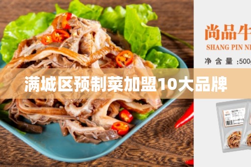满城区预制菜加盟10大品牌
